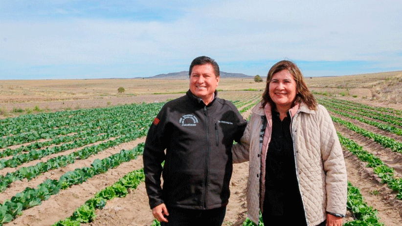 Apoya SECAMPO la agricultura autosustentable y orgánica en Genaro Codina