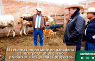El reto más importante en ganadería es incorporar al pequeño productor a los grandes proyectos.