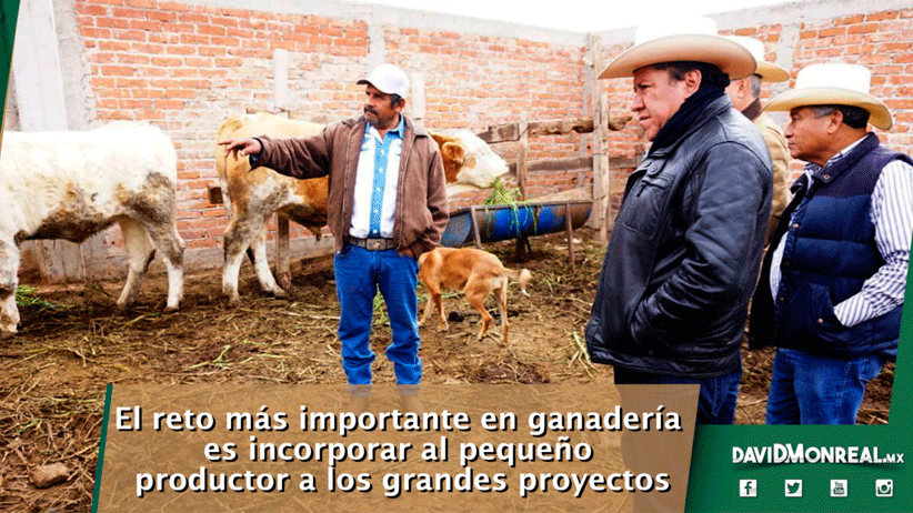 El reto más importante en ganadería es incorporar al pequeño productor a los grandes proyectos.