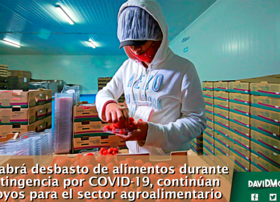 No habrá desbasto de alimentos durante contingencia por COVID-19, continúan apoyos para el sector agroalimentario