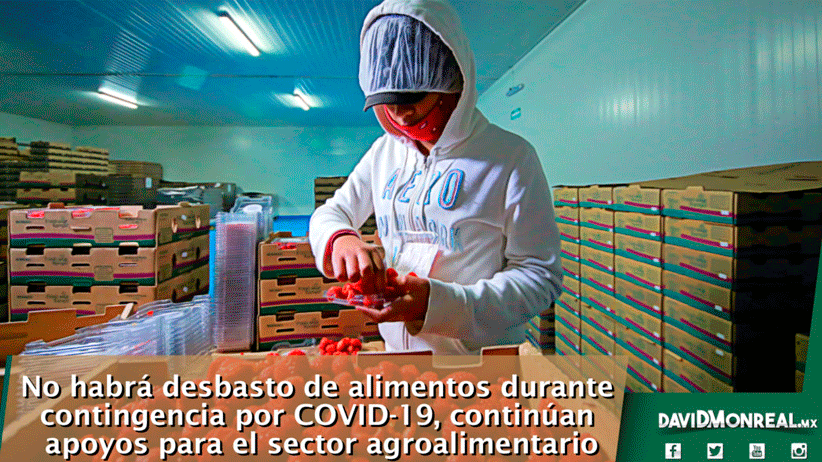 No habrá desbasto de alimentos durante contingencia por COVID-19, continúan apoyos para el sector agroalimentario