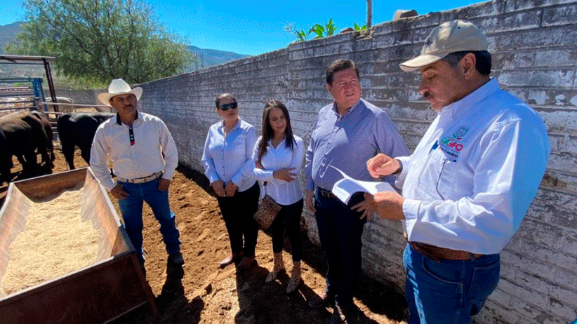 Invierte Gobierno 14.4 mdp para combatir la marginación en el campo Zacatecano.