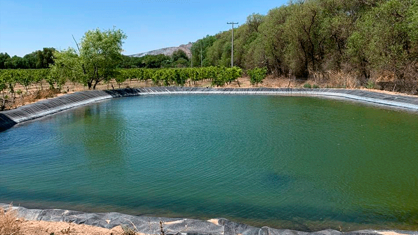 Invierte Gobierno 7 Mdp para ayudar a Agricultores y Ganaderos de Villa García.