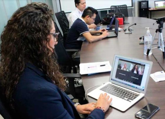 En tan sólo una semana se registran 141 solicitudes de información para instituciones públicas.   
