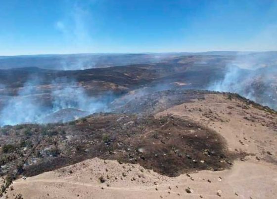 Acuden municipios, dependencias y corporaciones en apoyo a sofocar incendio en predios de Villanueva.