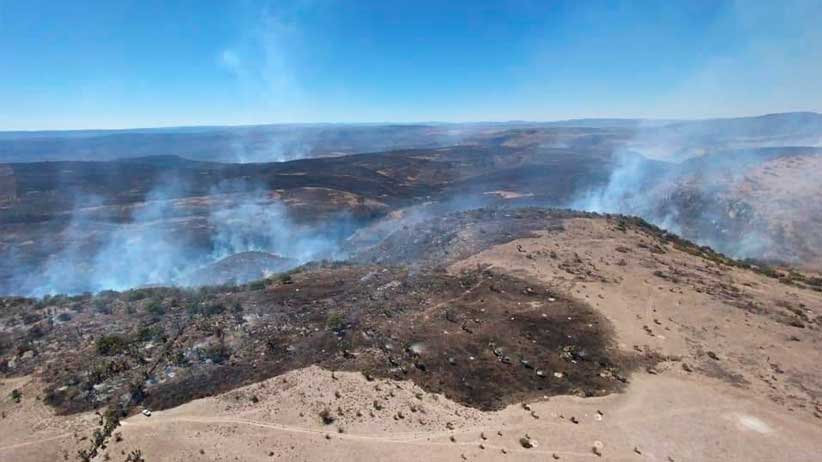 Acuden municipios, dependencias y corporaciones en apoyo a sofocar incendio en predios de Villanueva.