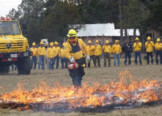 A extremar cuidados para evitar incendios forestales, exhorta SAMA