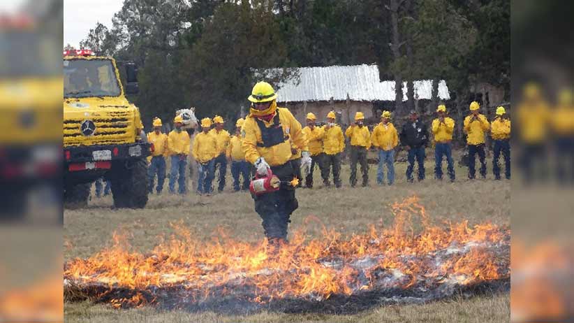 A extremar cuidados para evitar incendios forestales, exhorta SAMA