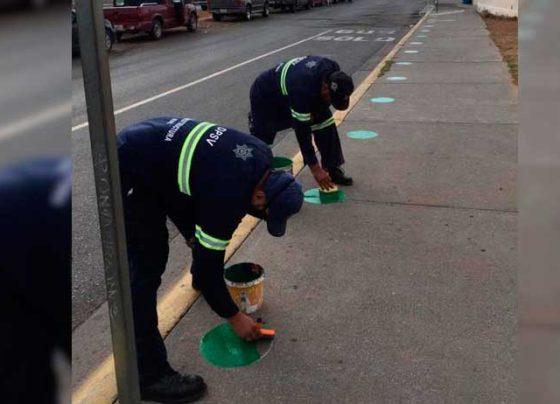 Colocan  señalética de sana distancia en paraderos de rutas de transporte público.