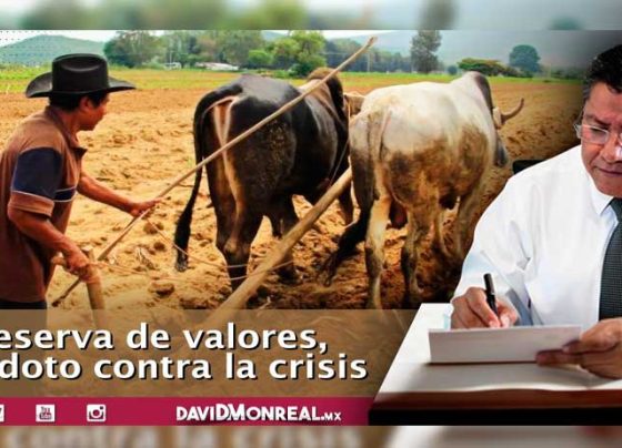 Reserva de valores, antídoto contra la crisis.