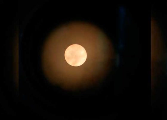 Participan cerca de 11 mil personas en la Primera Noche Astronómica Virtual.