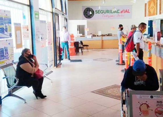 Expiden 389 licencias en la Capital, la primera semana de reactivar el servicio.