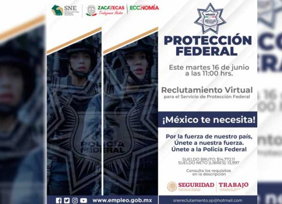 Reclutarán Gobierno Estatal a personal para el servicio de Protección Federal.