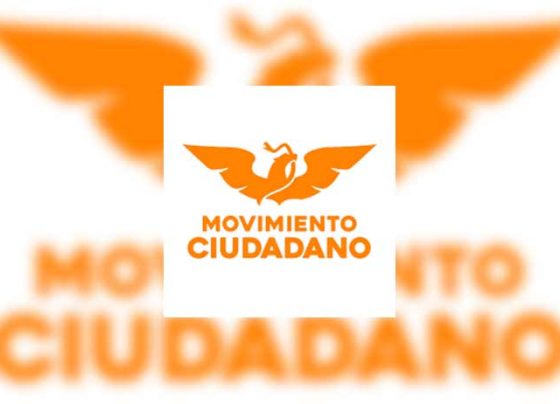 Urgente impulsar Ingreso Mínimo Vital tras la etapa de confinamiento por contingencia sanitaria: Felipe Álvarez Calderón