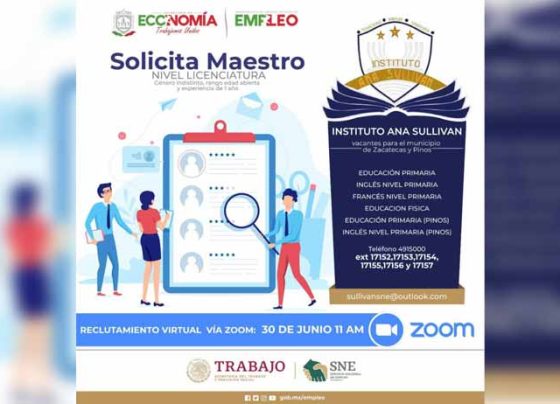 Realizará SNE Zacatecas reclutamiento virtual para profesionistas en educación