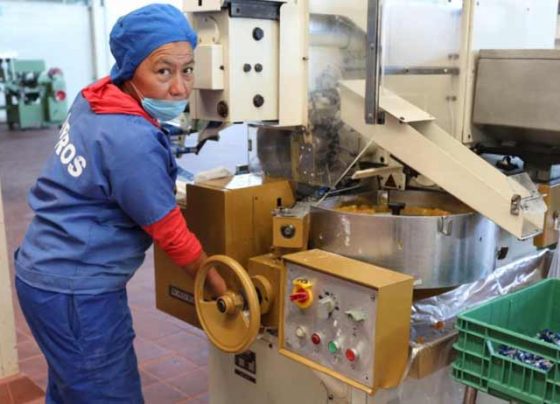 Se incrementa 4% registro ante  el IMSS de nuevas empresas en Zacatecas.