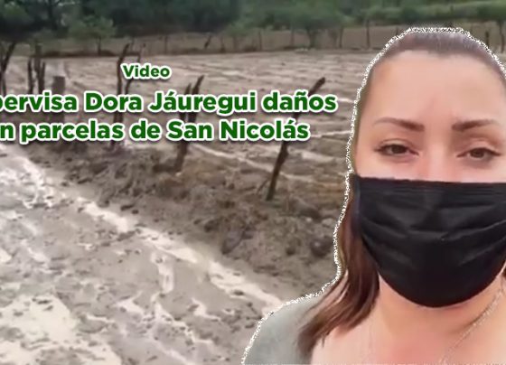 Supervisa Dora Jáuregui daños en parcelas de San Nicolás (video)