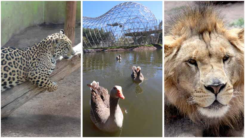 Firman convenio Ayuntamiento de Guadalupe y Harmon Hall
