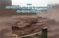 Así corre el agua en la comunidad de Charco Blanco (video)