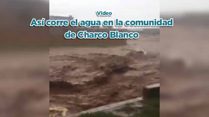 Mantener limpia nuestra ciudad es tarea de todos: Julio César Chávez