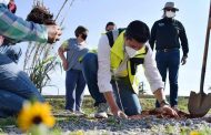 Supervisa Julio César Chávez jornada de limpieza y reforestación en Mina Azul 