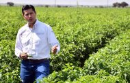 Invierte municipio de Guadalupe 8 millones de pesos en el sector agropecuario