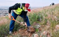 Inicia reforestación en el Cerro San Simón