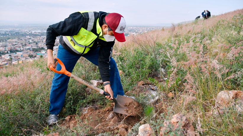 Acceso a la información y tecnologías, fundamentales para combate a la corrupción: IZAI