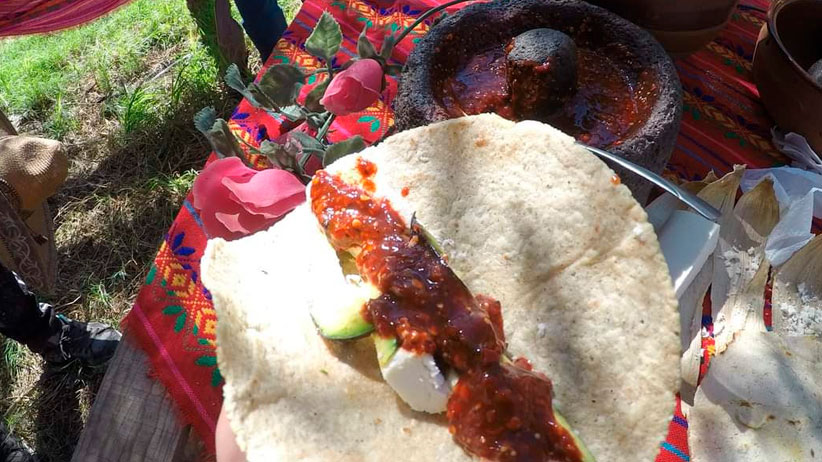 Reemplaza JIAPAZ línea de conducción en avenida Pedro Coronel