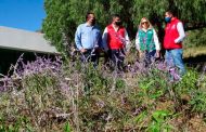Instalan en Ecoparque jardín polinizador para conservación de mariposa monarca en su ruta migratoria
