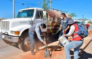 Supervisa Julio César Chávez reforestación en Villa Fontana