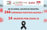 En 24 horas, Zacatecas registra: 244 contagios positivos nuevos y 14 muertes por covid-19