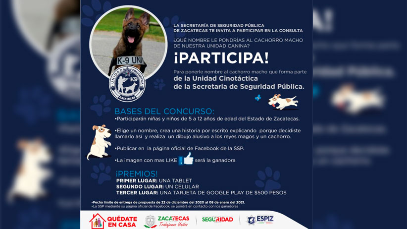 Premian a ganadores de ‘Líricas por la Paz’