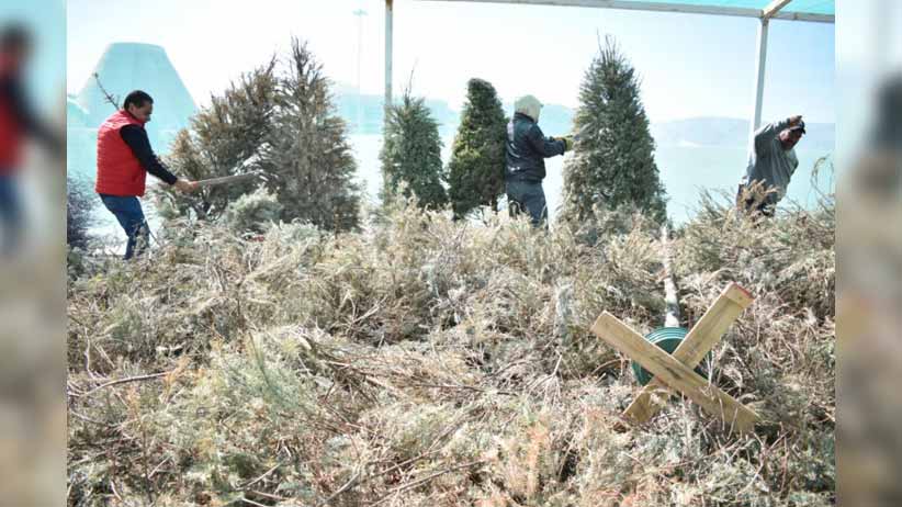 Brindan instituciones más de 62 mil atenciones a mujeres víctimas de violencia