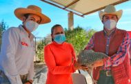 Gobierno estatal y municipios benefician con apoyos sociales a familias del semidesierto
