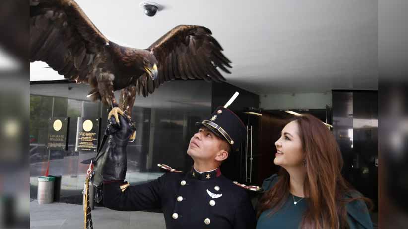 Instan a alcaldías a respetar normas de Protección Civil