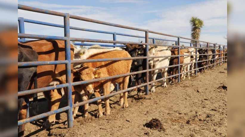 En su 92 aniversario, el PRI sigue siendo un partido fuerte y sólido: Enrique Flores