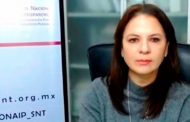 Vital, protección de datos personales de la niñez mexicana: Julieta del Río
