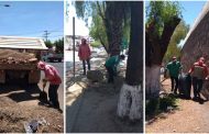 Realizan mantenimiento y limpieza en áreas del Bulevar Metropolitano