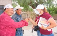 Avanza Julia Olguín en el IV Distrito