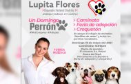 Invita candidata de Fuerza Por México, Lupita Flores, a Feria de Adopción de Mascotas y Croquetón