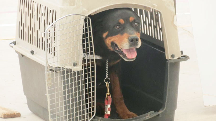 Reafirma SFP cero tolerancia a la violencia de género