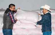 Arranca Mario Macías programa de entrega de semilla de avena a productores mazapilenses