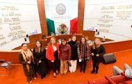 Propone Maribel Galván tipificar la Violencia Vicaria en Zacatecas