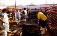 Intensifican acciones de sanidad y limpieza en el rastro de Río Grande para garantizar la calidad de la carne que se vende en el municipio   