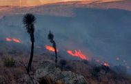 Detectan autoridades afectaciones en 15 mil hectáreas tras incendio en el cerro Las Chilitas