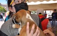 Realiza Ayuntamiento capitalino la sexta edición del ADOPTAFEST
