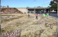 Gobierno de Zacatecas da mantenimiento a principales avenidas de la zona metropolitana Zacatecas-Guadalupe