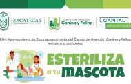 Avanza la campaña “Esteriliza a tu mascota” en la Capital de la Transformación