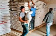 Se beneficiará con Fertilizantes para el Bienestar a casi 60 mil productores zacatecanos: Gobernador David Monreal